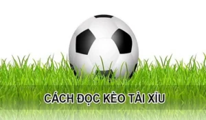 Tuyệt Chiêu Soi Kèo Tài Xỉu Tại NowGoal Mang Lại Hiệu Quả Cao