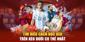Hướng Dẫn Cách Đọc Kèo Trên Kèo Dưới Tại NowGoal Để Nắm Chắc Phần Thắng