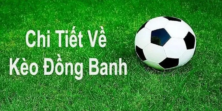Bí Quyết Chiến Thắng Kèo Đồng Banh Tại NowGoal Dành Cho Những Người Mới Chơi