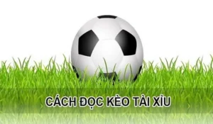 Cách Soi Kèo Tài Xỉu Hiệp 1 Tại NowGoal Hiệu Quả Và Chuẩn Xác Nhất
