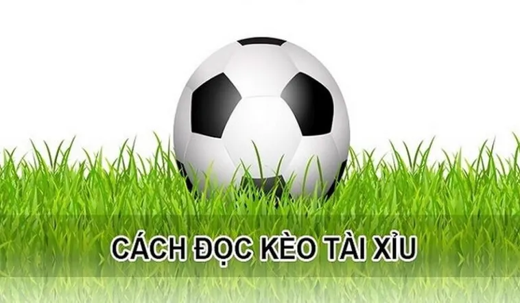 Cách Soi Kèo Tài Xỉu Hiệp 1 Tại NowGoal Hiệu Quả Và Chuẩn Xác Nhất
