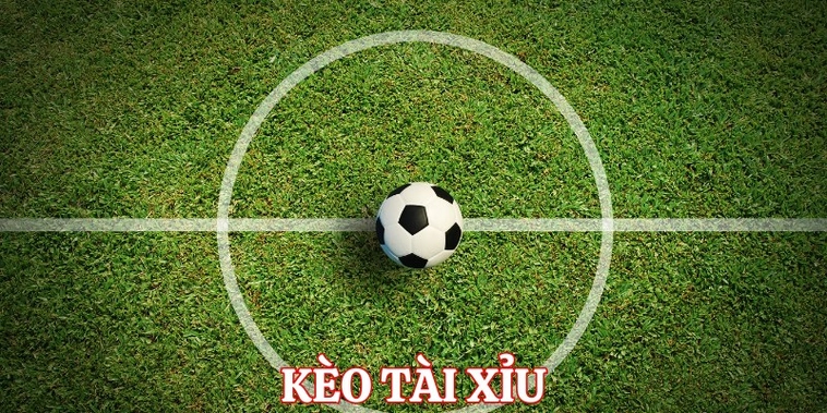 Bí Quyết Soi Kèo Tài Xỉu Bóng Đá Tại NowGoal Luôn Thắng Cho Người Mới