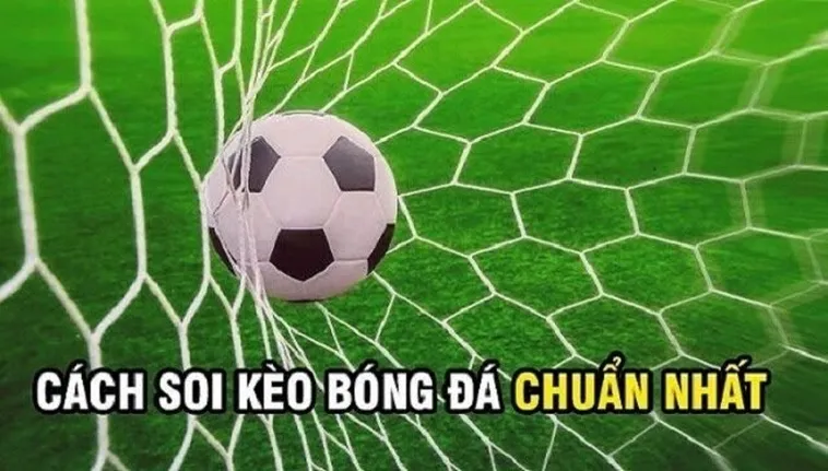 Hướng Dẫn Cách Chơi Kèo Rung Trong Bóng Đá Tại NowGoal Để Nhận Thưởng Lớn